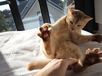 IMG 6951  Ptyś i jego rapetki